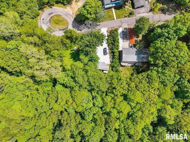 153 Spring Creek Ter, East Peoria, IL 61611 - aerial view