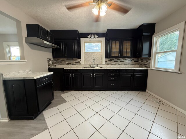 528 Cass St, East Peoria, IL 61611 - kitchen with dark cabinets, a sink, healthy amount of natural light, and a textured ceiling