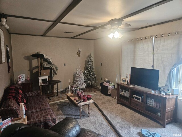 640 Grant Pl, Canton, IL 61520 - carpeted living area featuring ceiling fan