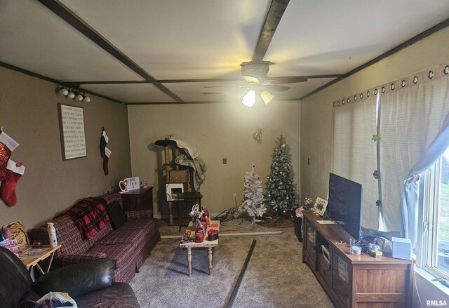 640 Grant Pl, Canton, IL 61520 - living area with carpet floors and ceiling fan