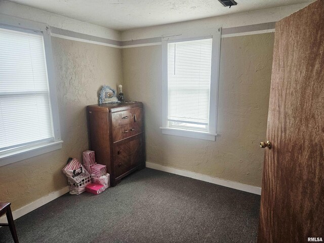 640 Grant Pl, Canton, IL 61520 - unfurnished bedroom featuring carpet floors, multiple windows, a textured wall, and baseboards