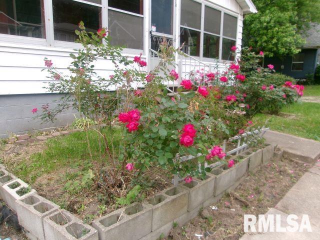 129 Pierson St, East Peoria, IL 61611 - view of yard