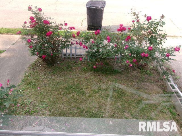 129 Pierson St, East Peoria, IL 61611 - view of yard