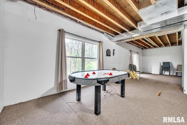 playroom with carpet flooring