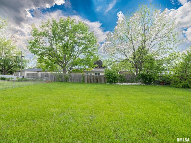 3509 S Dorothy Ct, Bartonville, IL 61607 - view of yard