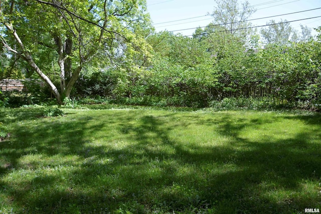 298 Jana Rd, Macomb, IL 61455 - view of grassy yard