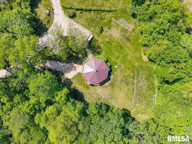 bird's eye view