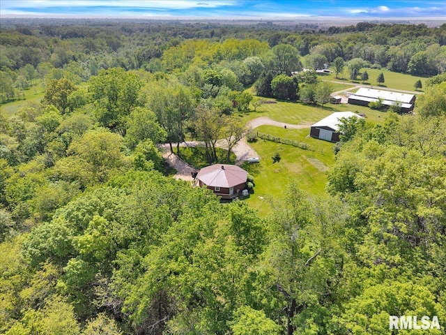bird's eye view of a forest