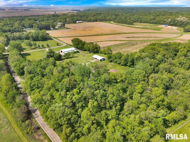 aerial view of a forest