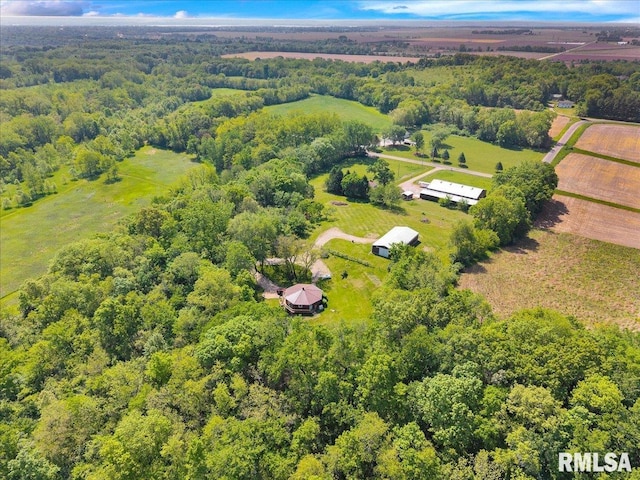 overview of rural landscape with a forest