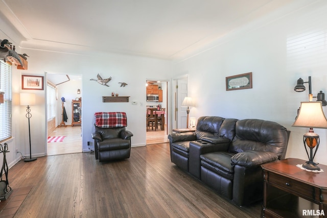 113 W Essex St, Glasford, IL 61533 - living room featuring wood finished floors and baseboards