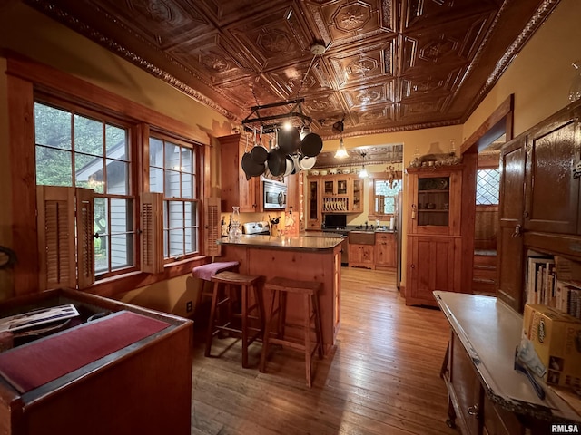 429 S Madison St, Macomb, IL 61455 - kitchen with an ornate ceiling, light wood-style floors, healthy amount of natural light, stainless steel microwave, and a peninsula