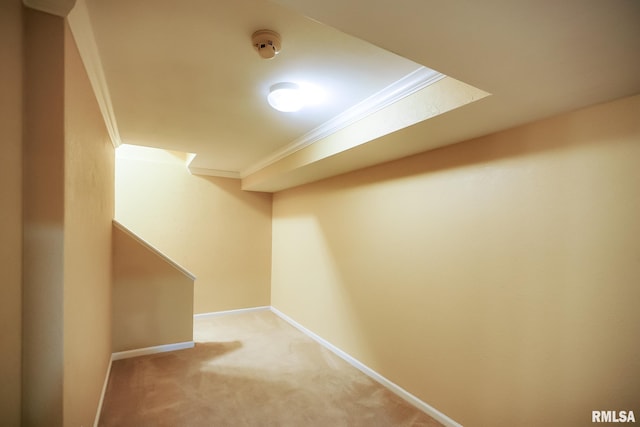 finished below grade area featuring crown molding, light carpet, and baseboards