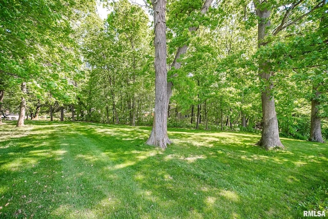 view of grassy yard
