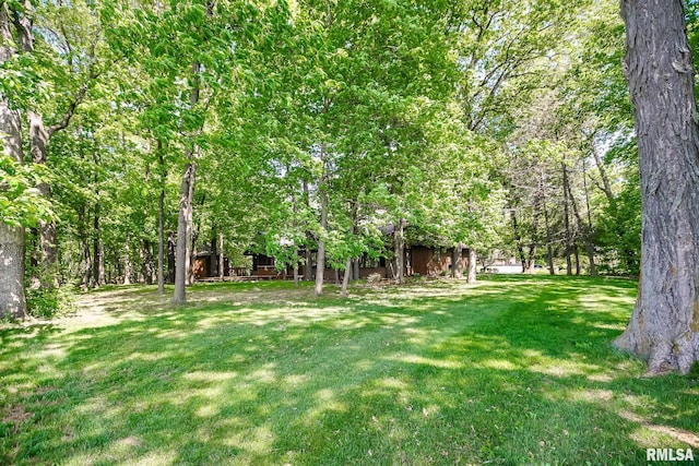 view of grassy yard