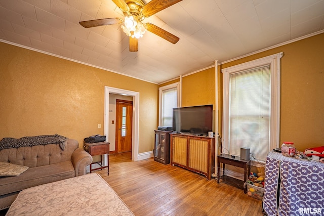 128 W Spruce St, Canton, IL 61520 - living area featuring crown molding, light wood-type flooring, ceiling fan, and a textured wall