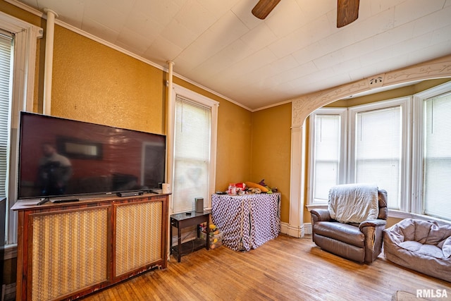 128 W Spruce St, Canton, IL 61520 - living area featuring crown molding, a ceiling fan, and wood finished floors