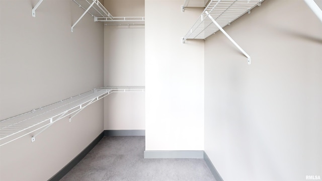 1001 SW Adams St Unit 304, Peoria, IL 61602 - walk in closet featuring carpet