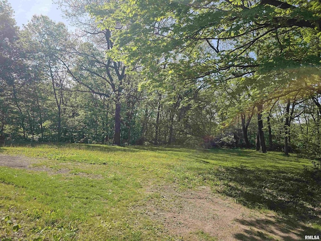 3304 E Washington St, East Peoria, IL 61611 - view of yard featuring a wooded view