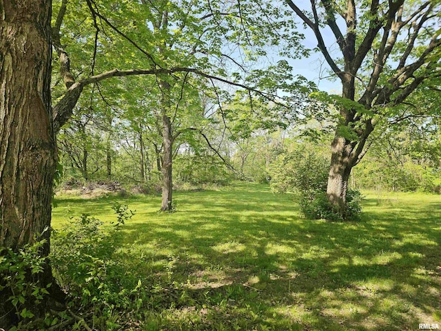 3304 E Washington St, East Peoria, IL 61611 - view of grassy yard with a wooded view