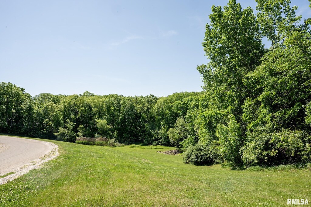 LOT1 Hidden Point Dr, Glasford, IL 61533 - photo 3