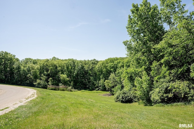 LOT1 Hidden Point Dr, Glasford, IL 61533 - photo 3