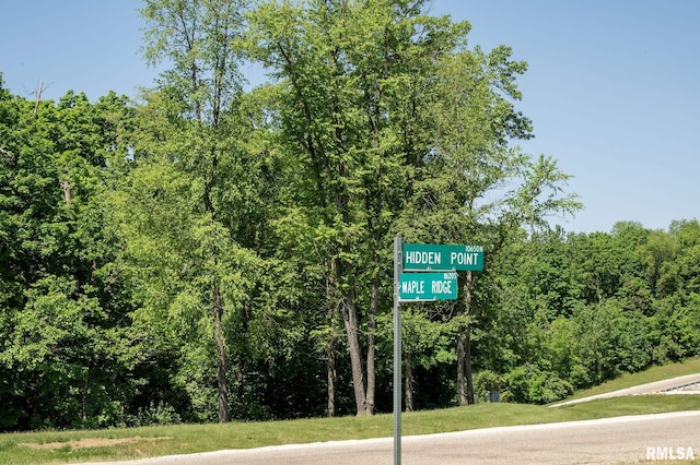LOT1 Hidden Point Dr, Glasford, IL 61533 - photo 4