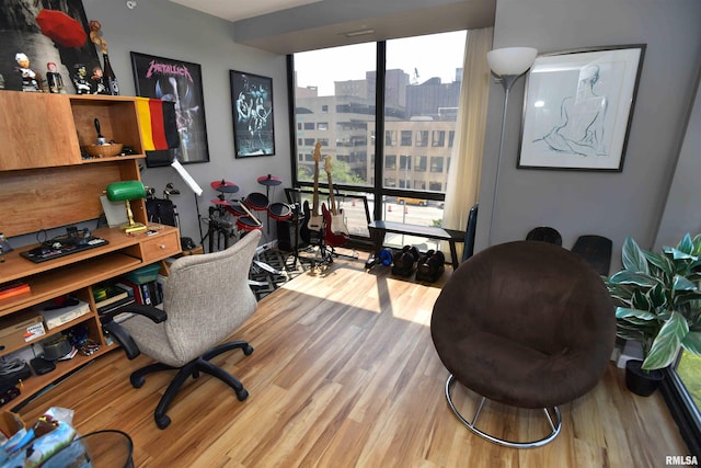 125 SW Jefferson Ave Unit W4S, Peoria, IL 61602 - office space featuring wood finished floors and a city view