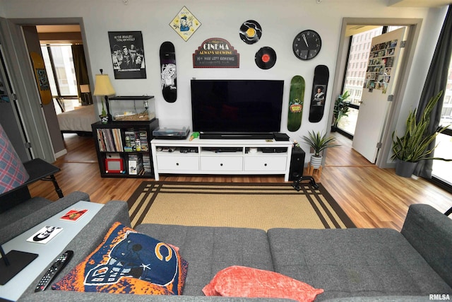 125 SW Jefferson Ave Unit W4S, Peoria, IL 61602 - living room featuring wood finished floors