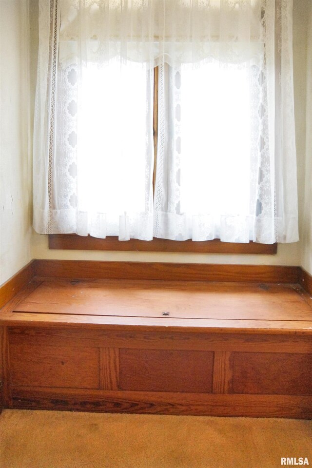 418 W Clinton St, Toulon, IL 61483 - stairway featuring healthy amount of natural light