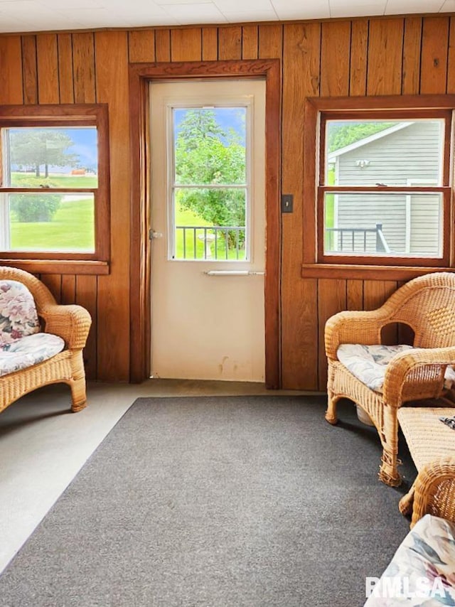 418 W Clinton St, Toulon, IL 61483 - sitting room featuring wood walls and carpet floors