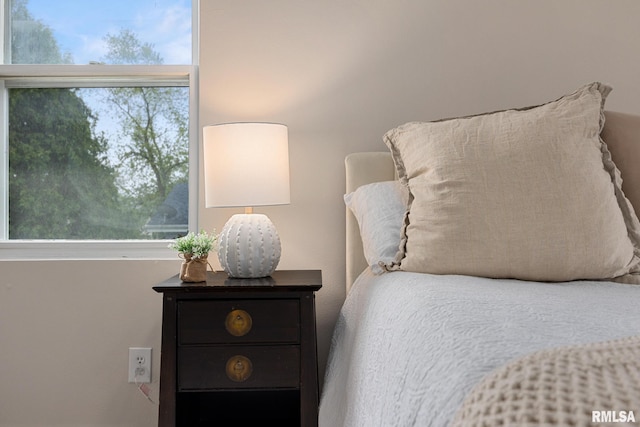 3348 W Lisa Ln, Peoria, IL 61615 - view of bedroom