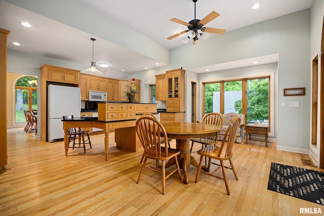 131 Lakeside Pl, Dahinda, IL 61428 - dining space featuring plenty of natural light, light wood-style flooring, recessed lighting, a ceiling fan, and baseboards