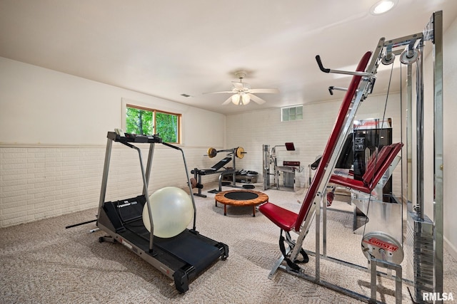 131 Lakeside Pl, Dahinda, IL 61428 - exercise room with ceiling fan, brick wall, and carpet floors