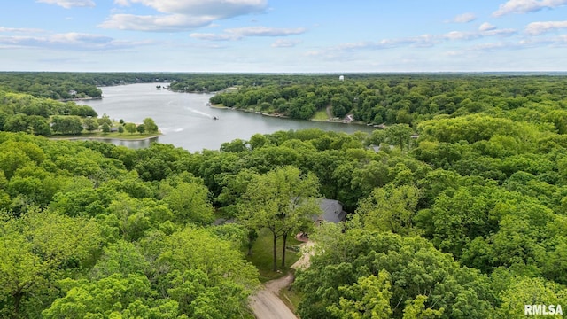 131 Lakeside Pl, Dahinda, IL 61428 - drone / aerial view of a heavily wooded area and a nearby body of water