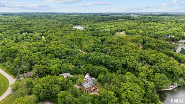 131 Lakeside Pl, Dahinda, IL 61428 - aerial view of a heavily wooded area and a nearby body of water