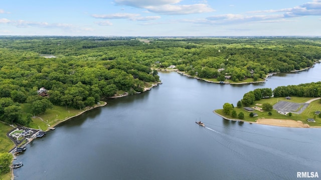 131 Lakeside Pl, Dahinda, IL 61428 - aerial view of a heavily wooded area and a large body of water