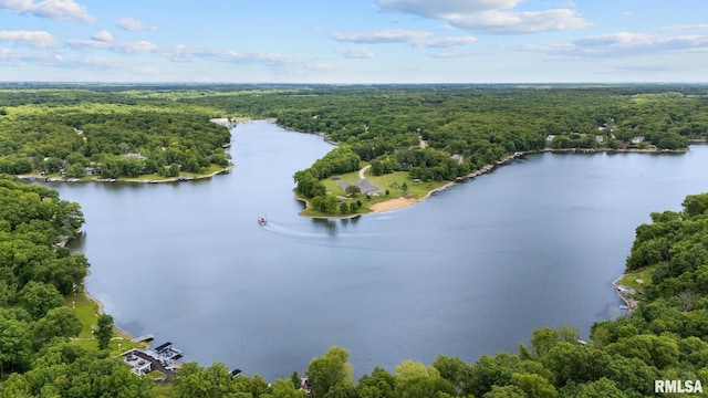 131 Lakeside Pl, Dahinda, IL 61428 - bird's eye view of a heavily wooded area and a nearby body of water