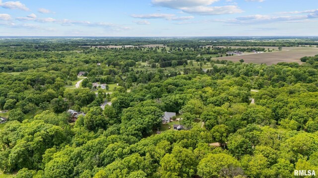 131 Lakeside Pl, Dahinda, IL 61428 - drone / aerial view of a forest