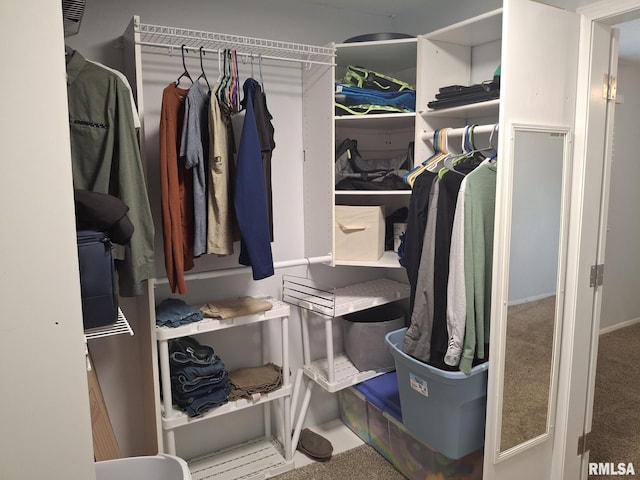 1907 Chicory Rd, Pekin, IL 61554 - spacious closet with carpet