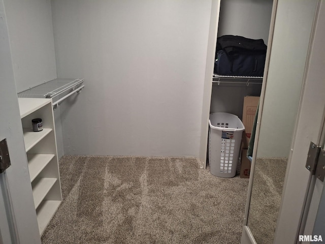 1907 Chicory Rd, Pekin, IL 61554 - walk in closet with carpet floors