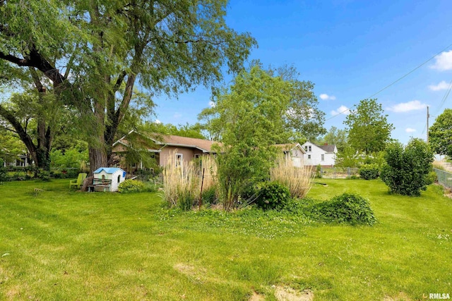 507 E Main St, Bryant, IL 61519 - view of yard