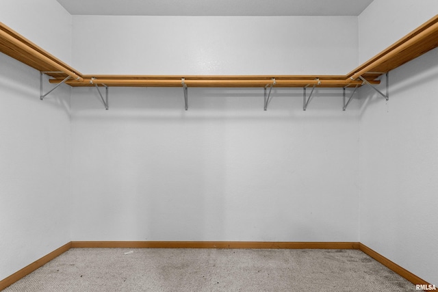 507 E Main St, Bryant, IL 61519 - spacious closet featuring light colored carpet