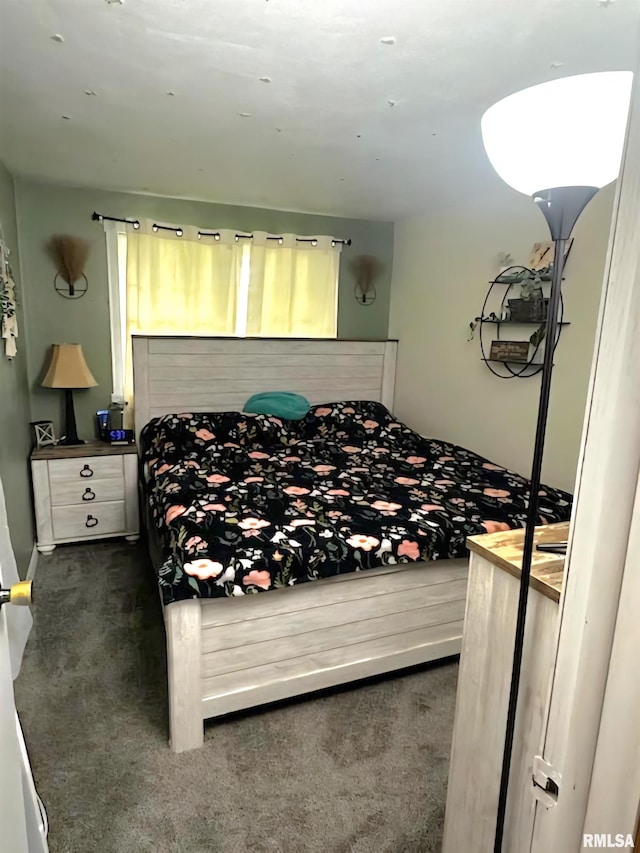 16338 E Red Maple Ln, Lewistown, IL 61542 - bedroom with dark colored carpet