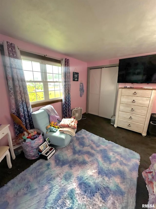 16338 E Red Maple Ln, Lewistown, IL 61542 - bedroom with a closet