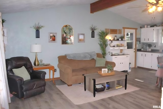 16338 E Red Maple Ln, Lewistown, IL 61542 - living room with wood finished floors and a ceiling fan