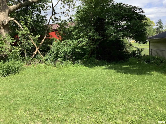 1908 N Idaho St, Peoria, IL 61604 - view of yard