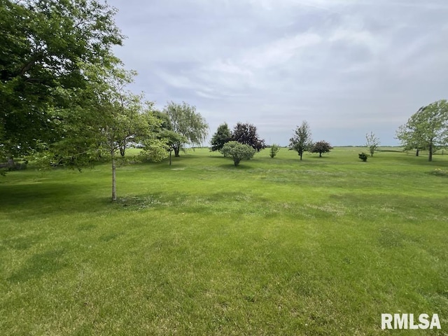 16765 N 350th Rd, Industry, IL 61440 - photo 3