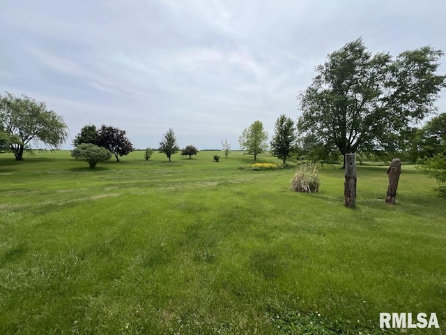16765 N 350th Rd, Industry, IL 61440 - photo 4