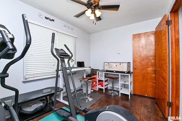 1202 W Purtscher Dr, Peoria, IL 61614 - exercise area with a ceiling fan and wood finished floors